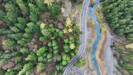 航拍九寨沟秋景彩林川西秋天原始森林五花海