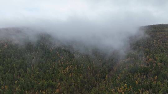 航拍秋季雨雾中的大兴安岭山林