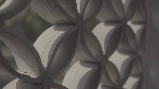 【空镜】4k江南建筑-园林-花窗-log原片视频素材模板下载