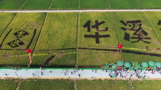 4K航拍 浙江义乌廿三里农民丰收节活动视频素材模板下载