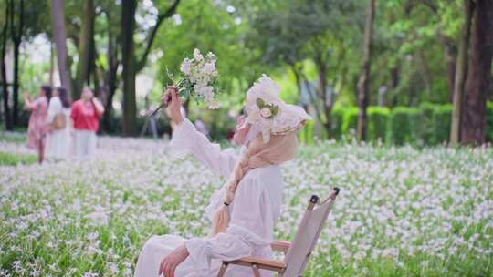 人民公园风雨兰花