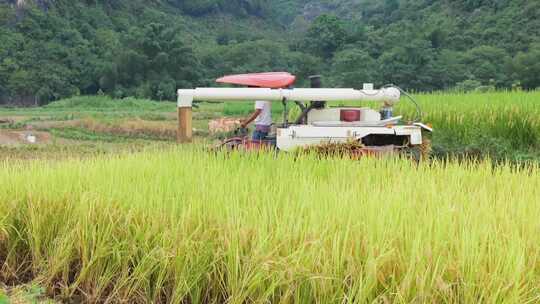 田园风光中使用收割机收割水稻的景象