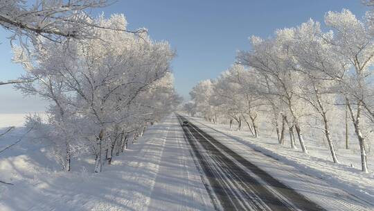 汽车在雪地树林风景优美的道路上行驶