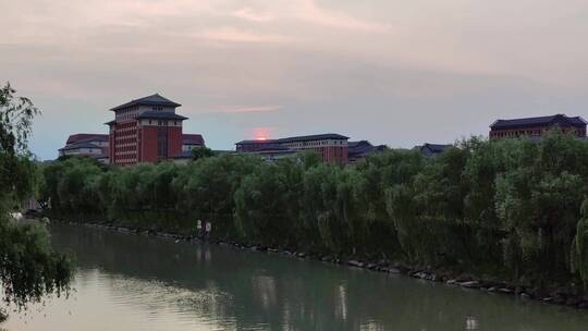 唯美大学校园夏日黄昏夕阳飞鸟自然和谐场景