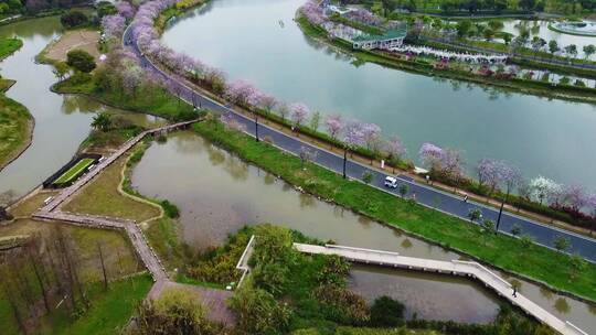 广东省广州市南沙区蕉门城市风光航拍