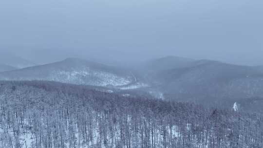 冻雾与雪中的林海雪原