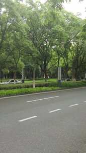 竖版航拍城市大道绿树成荫实拍交通