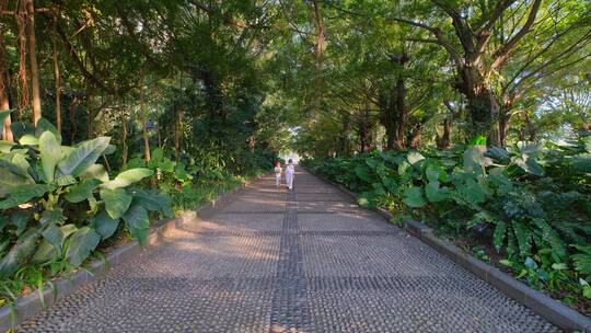 小孩子走在公园小路上