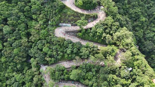 广东观音山国家森林公园第十二届登山大赛