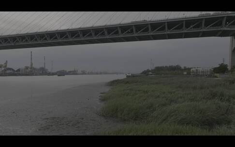 闵浦大桥航拍12（4K/50fps/灰档/降噪）