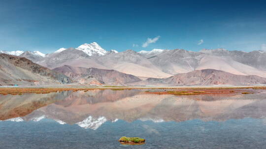 西藏日喀则珠峰自然保护区定结湿地黑颈鹤视频素材模板下载