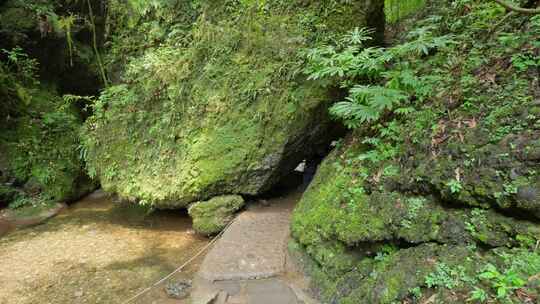 成都青城山后山峡谷森林步道溪流自然景观