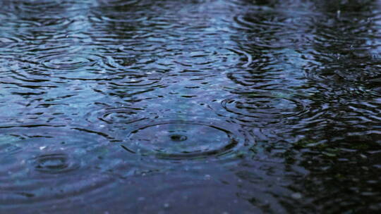 雨落在街道路面上视频素材模板下载