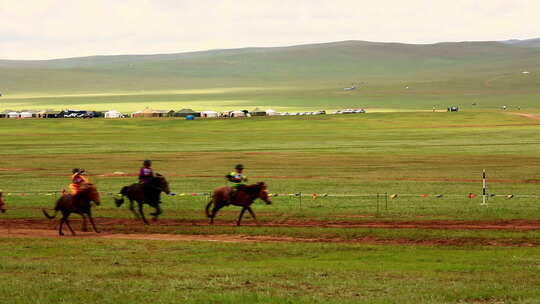 那达慕节，赛马，蒙古4