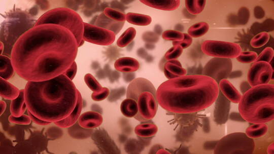 病毒 细胞 细菌 新冠 红细胞