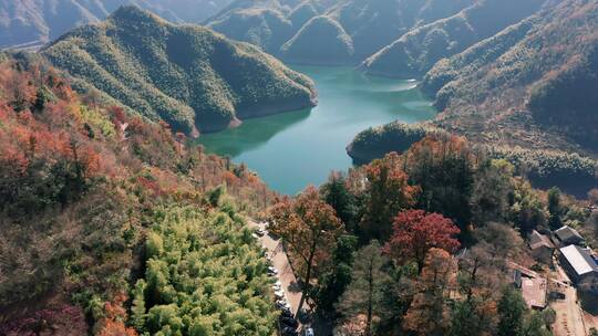 宁波四明山茅镬古树公园旅游风光4K航拍