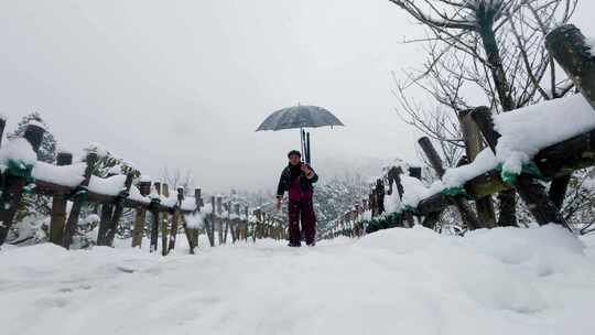 华顶山杜鹃园：雪中撑伞行走的人