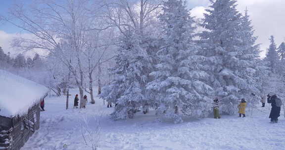 长白山雪岭冬季景色