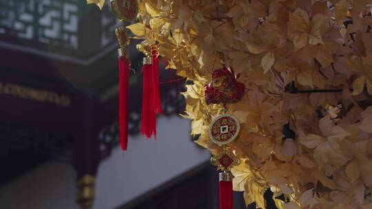 春节新年红绸带挂在金黄色银杏树上