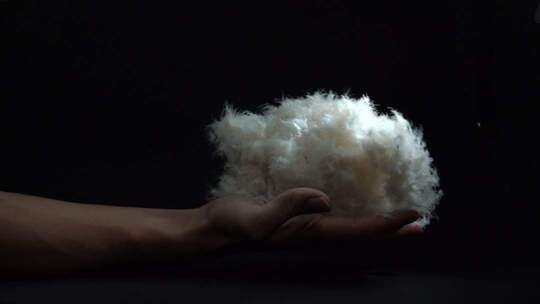 白鹅绒蓬松度展示