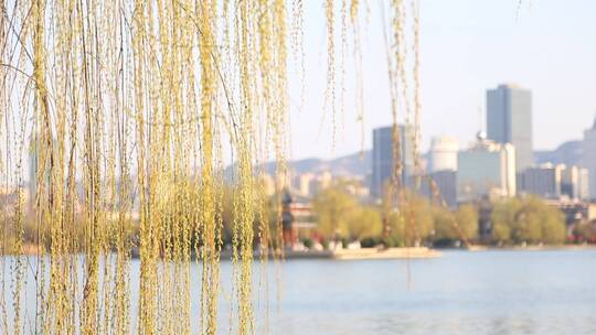 济南大明湖景区日落