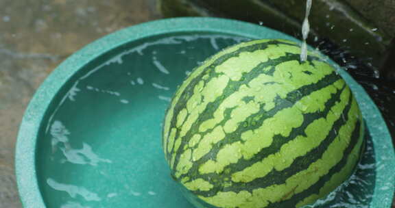 夏天儿童农院吃西瓜