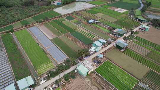 广东农业基地航拍