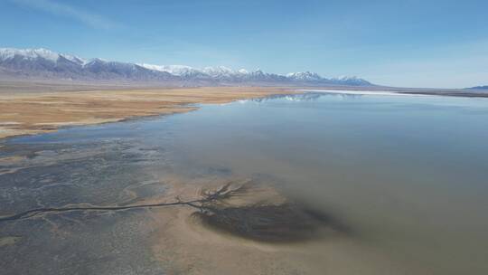 青海大柴旦湖湿地自然风光航拍