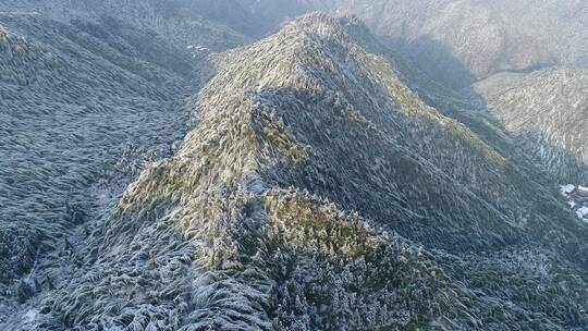 衢州七里雪景