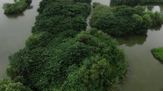 航拍杭州湘湖风景鸟岛