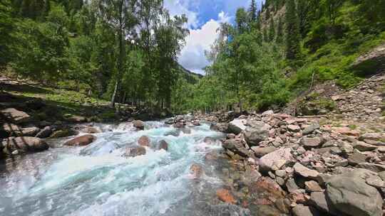 新疆天山峡谷原始森林的溪流