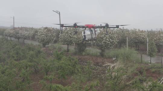 农业大疆植保无人机洒农药现代农业科技视频素材模板下载