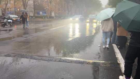 秋季落叶秋雨下雨天阴雨天降温寒冷积水雨水