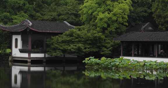 杭州西湖十景曲院风荷初夏风光