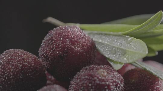 影棚实拍新鲜杨梅LOG