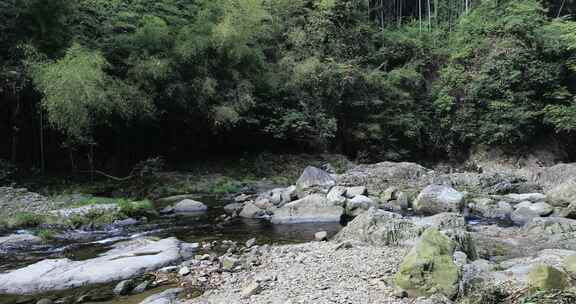 森林山涧山泉水溪流 浙东小九寨