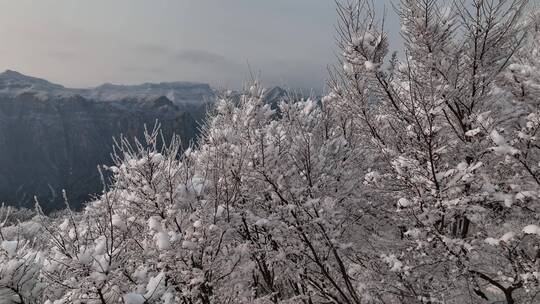 航拍焦作云台山峰林峡山脉冬季雾凇雪景