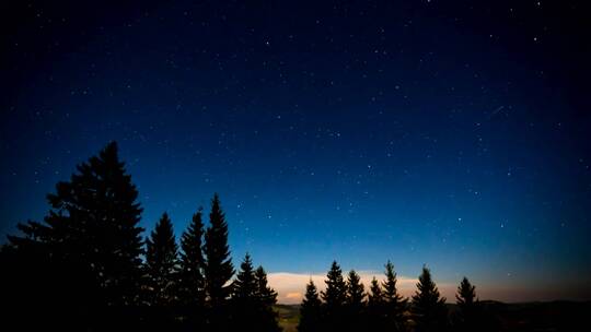 在森林的夜晚流星