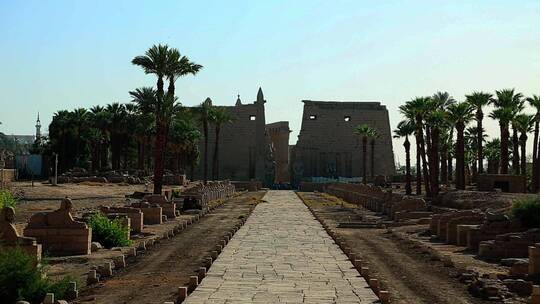 埃及卢克索神庙视频素材模板下载