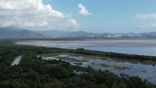 4K航拍深圳福田红树林湿地保护区