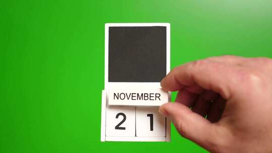 11.绿色背景上日期为11月21日的日历视频素材模板下载