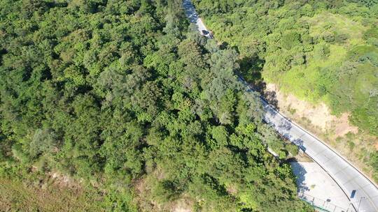 森林公路航拍树林道路汽车行驶航拍山区山路