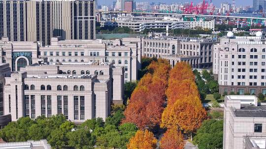 上海复旦大学江湾校区