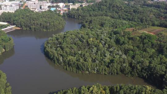 航拍深圳龙华区观澜园林绿化及居住区绿化