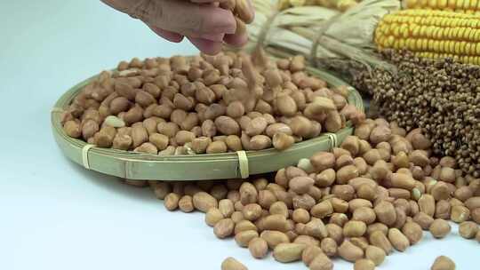 花生【商用需购买企业授权】