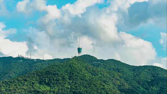 深圳梧桐山小梧桐延时摄影视频素材模板下载