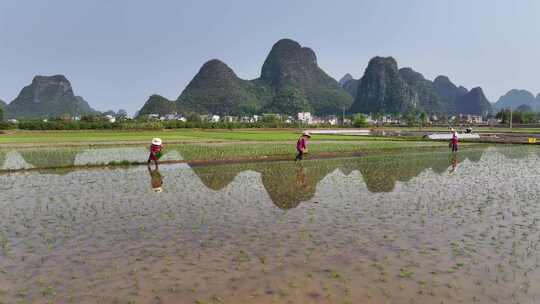 广西春耕劳作场景