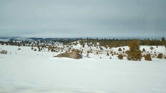 雪景雪地实车合成