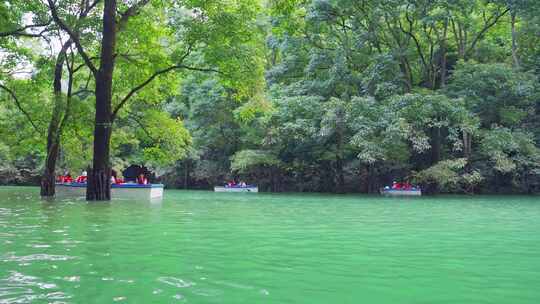 森林河流水上森林贵州旅游风光