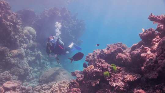 水肺，潜水员，暗礁，海洋